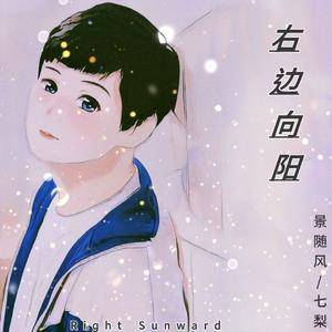 右边向阳（DJ版） 伴奏